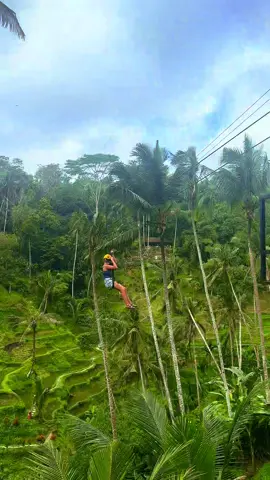 Ubud - rice field zip line  #travelbali #ubudzipline #bali #traveltok #fyp