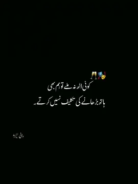 بدتمیز تو ہم بھی بہت ہیں ۔