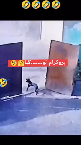 #🤣🤣😂😂🙊🤣✍️