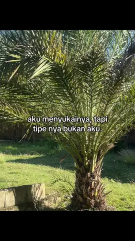#galaubrutal 