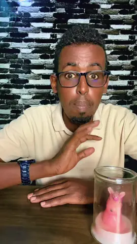 Ciyaal gobol iyo ciyaal xamar yaa waxbarashada kufiican #somalitiktok #mogadishu #fyp #somaliland #viral 