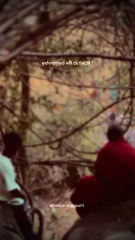 ඇයි මෙච්චර නැහෙන්නෙ ! 💜🌸 #h_a_thero🌸 #ven_ariyagnana #🌻the_shan🌻 #foryou #viral 