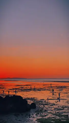Kupang dan sunsetnya 🔥#kupang #fpyシ #senja 