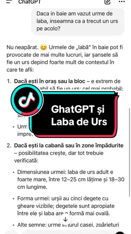 ChatGPT si Laba de Urs