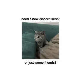 join us #discord #friends #discordserver #roblox #fyp 
