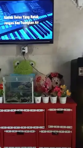menghibur dsni aja 😁