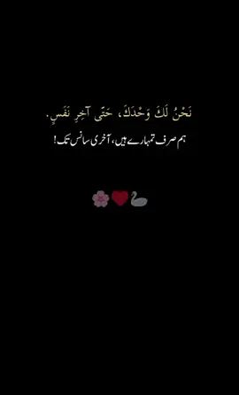 ہم صرف تمہارے ہیں ، آخری سانس تک 🌸♥️🦢#poetry #fyypviraltiktok🖤シ゚☆♡ #foryou #1milionviews #100kfollowers 