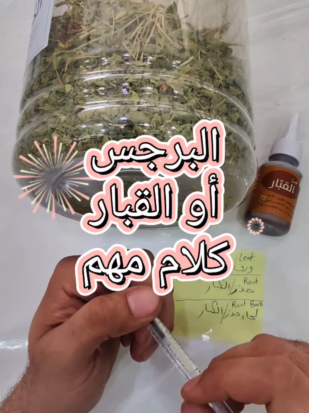 كلام مهم فيما يتعلق ب عشبة القبار أو البرجس، حواج في الكويت، عطار في الكويت،. شركة النيم للأعشاب الطبية في الفروانية شارع حبيب المناور مقابل سوق مترو بإدارة خبير الأعشاب المهندس هيثم زبن #أعشاب #explore #الشعب_الصيني_ماله_حل😂😂 #viral #كويت 