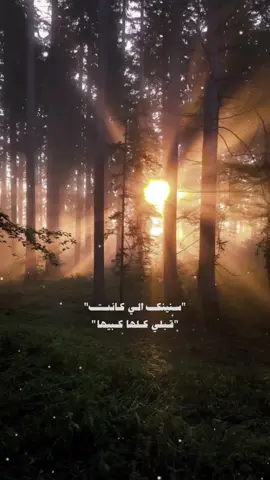 سنينك الي كانت قبلي كلها كبيها #CapCut #محفوض_الماهر @mahfoud_almaher 