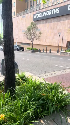 Black Lamborghini Revuelto