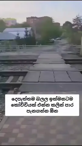 මෙහෙම දෙයක්නම් වෙන්නෙපා දෙවියනේ හතුරෙකුටවත්....#foryou #foryoupage #viral #trending
