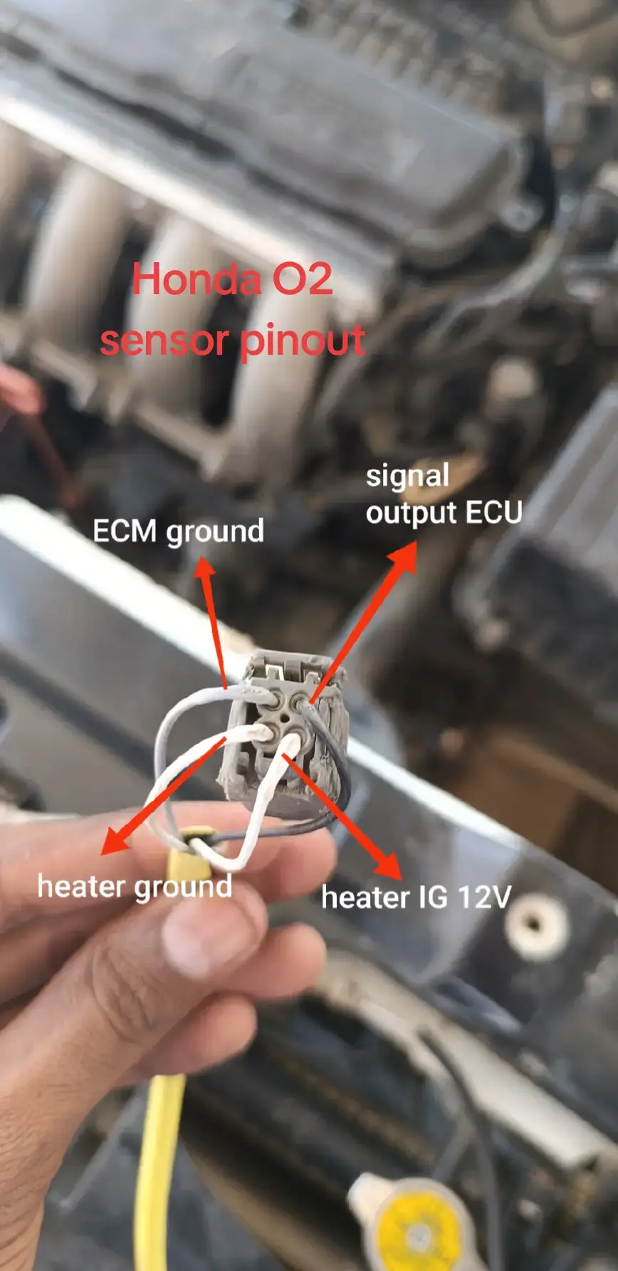 P0131 O2 sensor pinout #p0132 #falstine_tiktok🇵🇸 #tranding #for #foru @Auto Electrician O2 sensor waring diagram Honda city 