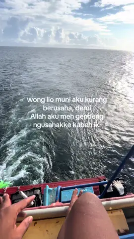 sehat
