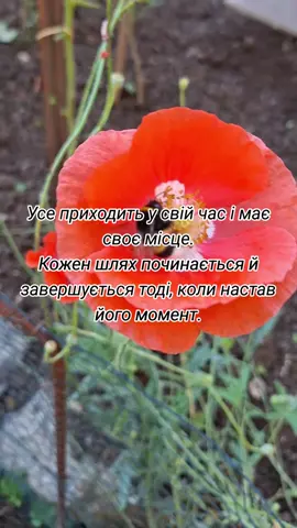 #час #реки #момент #українськамузика #квіти 