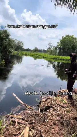@cah cilik 🤣#mancingliar #gabus #cestinggabus #angler 