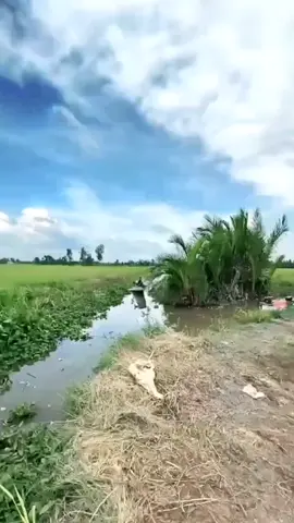 nhìn nơi xa xăm trong lòng bao vấn vươn 