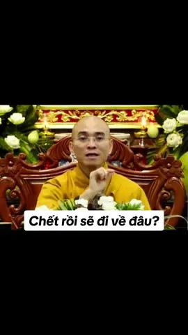 Chết rồi sẽ đi về đâu?  #phatphap #phatphapnhiemmau #phapthoai #thichthientue #phatgiao 