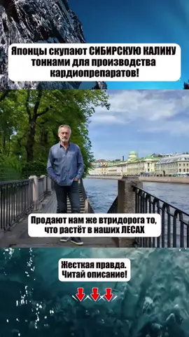 1.  Мужчина, 61 год, после двух инфарктов. Живёт на т*блетках: клопидогрел, бисопролол, аторвастатин, периндоприл. 12 тысяч в месяц. Одышка, отёки, импотенция. Предложил добавить калину. Через два месяца отменили половину препаратов. Кардиолог в шоке. 2.  Знаете, почему инфаркты помолодели? Стрессы, холестерин, гиподинамия - это следствия. Причина - дефицит веществ, защищающих сердце. Раньше их получали из простой пищи. Теперь едим химию, потом лечимся химией. Замкнутый круг, выгодный фармбизнесу. 3.  В калине 28 кардиоактивных соединений. Вибурнин - природный вазодилататор. Изовалериановая кислота - антиаритмик. Кумарины - антикоагулянты. Флавоноиды - антиоксиданты. Всё это в идеальной природной композиции, которую не воссоздать в лаборатории. 4.  Схема проста: три стакана ягод калины ежедневно. Свежие, замороженные, в виде морса - не важно. Можно с мёдом для вкуса. Утром, днём, вечером по стакану. Через неделю почувствуете: сердце бьётся ровно, давление стабильно, одышка уходит. 5.  Разработал усиленный протокол для постинфарктных больных - добавляю боярышник, пустырник, шиповник в точных пропорциях. Восстановление идёт в разы быстрее. Полная методика слишком объёмна для поста. Детальная схема - в закрытом Телеграм-канале. Ссылка в профиле.