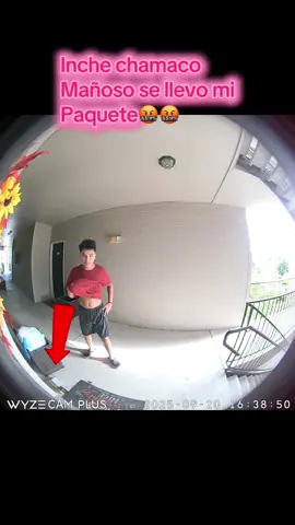 esponiendo ratas #amazonflex #manejaconcuidado #wizc #wyzecam #wyzecampanv3 