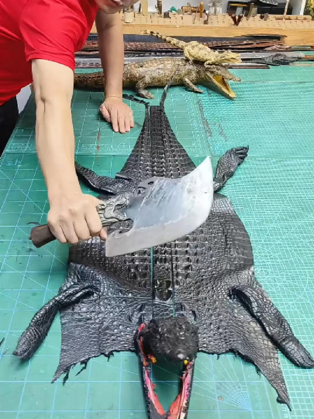 Thắt lưng da cá sấu nam, phiên bản dây liền nguyên con không ghép nối #dodathucong #handmadeleatherbag #khautay #leathercraft #diyprojectvn #handmade #viral #thucong #diyproject #thatlungnam #thatlung #thatlungda #daynitnam