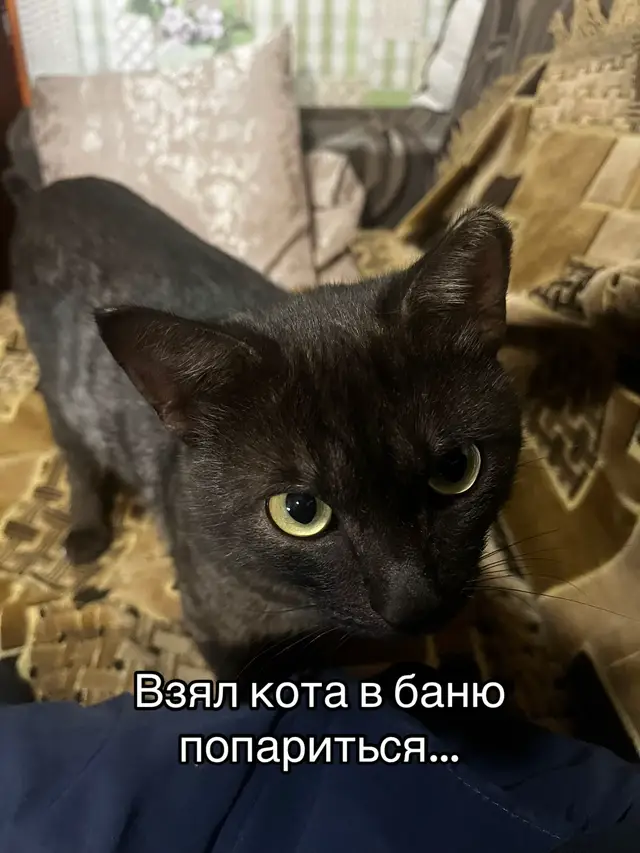Думаю ему понравилось