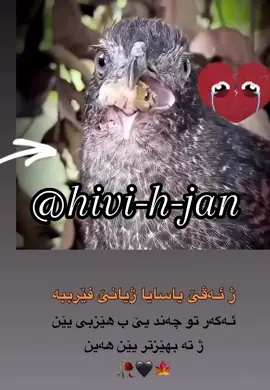 @🖤𝒌𝒂𝒄𝒉𝒂𝒙𝒉𝒂𝒎𝒌𝒊𝒏🖤 @ִֶָ࣪☾. 𒀭 Rihan ⋆ 