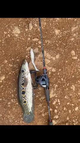 🎣😍#mancingliar#kalimantantenggah📌 