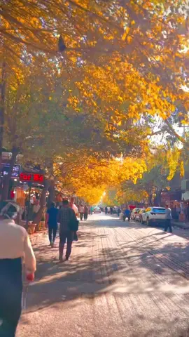 سلێمانی و پایز و جوانی 🍂🍁😍 #awat91 #awatvlog #kurdistan #slemani #پاییز🍂🍁 