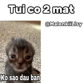 Ko sao dau ban 😁😁😁#ilovetiktok 