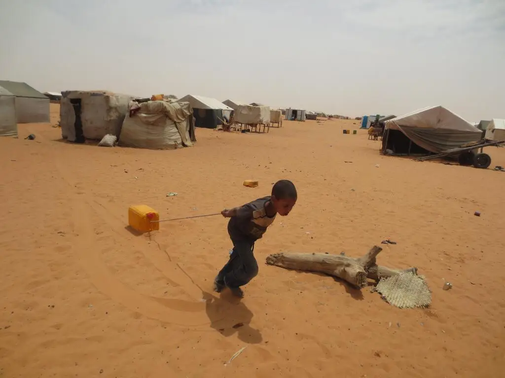 هذا العالم قاسي جدا 💔💔🥺 #الطوارق #أزواد #touareg #agadez #tamanrasset 