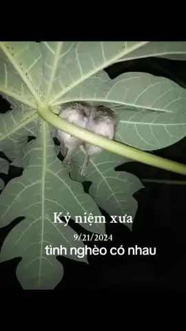 #kỷ niệm xưa 