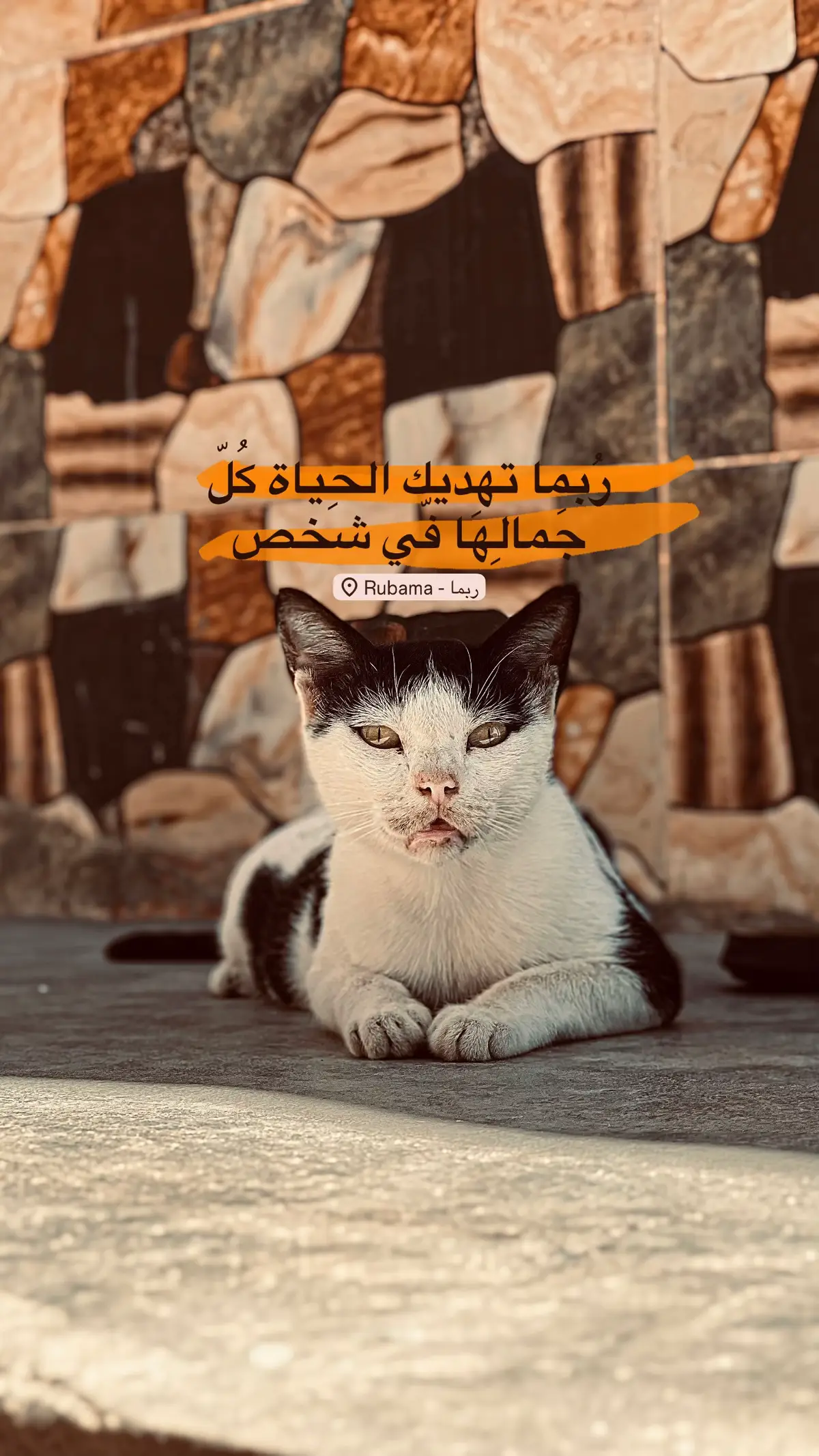 #عباراتكم_الفخمه📿📌 #اجمل_عبارة_راح_ثبتها📌 #الشرقاط #اقتباسات #فولو🙏🏻لايك❤️اكسبلور🙏🏻🌹💫 #الشعب_الصيني_ماله_حل #هَـوس📻 #صلاح_الدين_الشرقاط #الشرقاط_اجميلة #محضوره_من_الاكسبلور_والمشاهدات #tiktok 