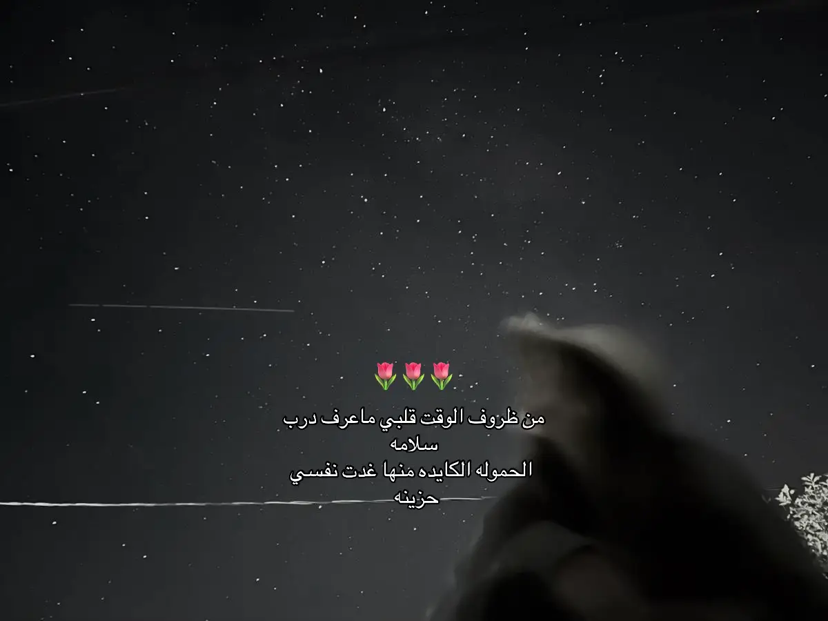 #fyp #foryou #viral #شيلات #explore 