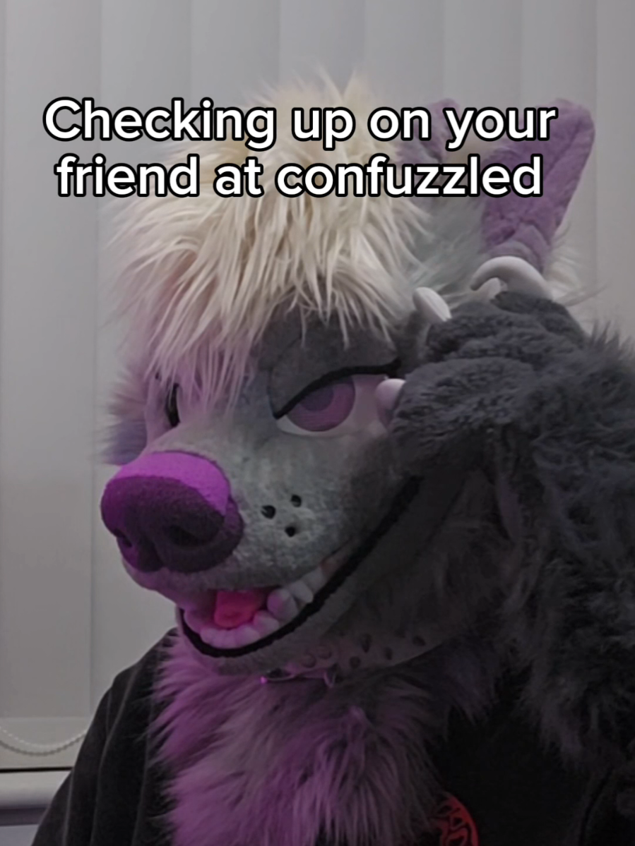 confuzzled really is a fever dream lmao \ \ #fursuit #fursuiter #confuzzled #furrycon #fyp 