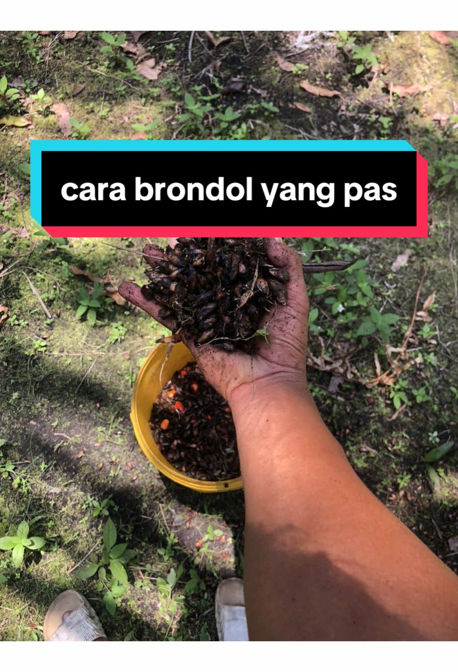 untuk ketua