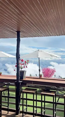 #chiangmaithailand #skywalkmonjam #คาเฟ่ธรรมชาติ #cafe #清迈 