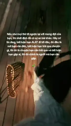 Thật ra cuộc đời này công bằng lắm. Bạn muốn yêu một người đẹp trai, thì phải chấp nhận anh ta rất đào hoa. Bạn muốn yêu một người tài giỏi, thì phải chấp nhận anh ta bận rộn và đôi lúc vô tâm. Bạn muốn yêu một người hàng ngày kè kè bên cạnh, thì phải chấp nhận anh ta vô công rỗi nghề. Bạn muốn một người đàn ông biết nấu ăn, thì phải chấp nhận anh ta đã từng nấu ăn cho người phụ nữ khác. Bạn muốn yêu một người dẻo miệng và khôn khéo, chấp nhận đi anh ta đã quá sỏi đời rồi. Bạn muốn yêu một người ga lăng, thì phải thấu hiểu sự ga lăng bạn đang hưởng thụ chính là điều mà những người phụ nữ trước đã dậy cho anh ta. Bạn muốn yêu một người có hiếu với cha mẹ thì phải chấp nhận đôi khi bạn sẽ gặp phải người nghe mẹ hơn nghe vợ, và có đôi khi bạn sẽ thiệt thòi. Bạn muốn yêu một người đàn ông xa hoa và hào nhoáng thì cho dù kết cục có ra sao thì ngay từ đầu bạn đã sống thực dụng thì đừng mong họ sẽ thật thà. Bạn muốn một người hoàn hảo, có, nhưng không phải của bạn. Thật ra cuộc đời này công bằng lắm, bạn có được thứ này, hẳn phải mất đi một thứ khác. Trên đời này không ai là hoàn hảo và không ai không có điểm xấu, con người đến với nhau chính là chấp nhận điểm xấu và hoàn thiện cái khiếm khuyết của nhau. Mỗi người đều tự hỏi, không biết rồi bản thân sẽ gặp người như thế nào, sẽ yêu người ra sao và khi yêu đối phương sẽ đối xử với mình thế nào. Mà lại không ai tự nhìn lại bản thân và đặt câu hỏi, rồi bạn sẽ yêu một người bằng cách nào, bạn sẽ gặp một người tương xứng với bản thân ra sao và khi yêu, bạn đối xử với họ như thế nào. Chúng ta đừng đòi hỏi yêu cầu ở một người quá cao vì chưa chắc bản thân đã tương xứng với những yêu cầu mà bản thân muốn. Con người đến với nhau chính là cái duyên, không phải thứ có thể đòi hỏi, khi mà bạn muốn đòi hỏi, đầu tiên phải xác định bản thân xứng đáng và tương xứng với điều ấy. Duyên đến thì đón Duyên đi thì tiễn Người đến thì hoan hỉ Người đi không sầu bi.#🍃 