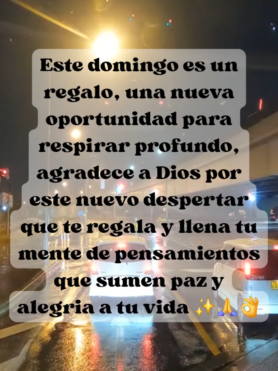 Domingo,  un nuevo despertar que Dios nos regala, agradece a Dios y llena tu mente de pensamientos que sumen paz y alegría a tu vida✨️ #Domingo #nuevodia #Dios #pensamientos #paz 