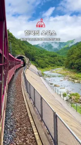 한국판 스위스 기차여행🍁🍂 경북에서 강원까지, 협곡을 따라 달리는  국내 유일 협곡열차에요!🚂💨 출발은 경북 영주역에서 하고,  도착은 강원 철암역이에요! 근데 대부분은 조금 더 짧은 코스인,  경북 봉화에 있는 분천역에서 많이 탑승하더라구요~! 그리고 중간에 있는 승부역에서 잠깐(약 10분) 정차하는데, 그때 내려서 간식거리도 사먹을 수 있답니다.😋 ✅ 계절마다 다른 매력적인 풍경 •봄: 벚꽃 가득🌸 •여름: 초록 숲이 가득🌿 •가을: 곱게 물든 단풍🍂 •겨울: 새하얀 눈꽃❄️ 🎟️ 이용 요금 & 소요 시간 •분천역 → 철암역 : 8,400원 / 약 1시간 10분 •영주역 → 철암역 : 11,700원 👉 예매는 코레일톡 앱 또는 홈페이지에서 가능해요! 📍 기차: 백두대간 협곡열차(V-train) 📍 노선: 영주역 ~ 철암역 #기차 #여행 #경상북도#경사ᄋ북 #가을 