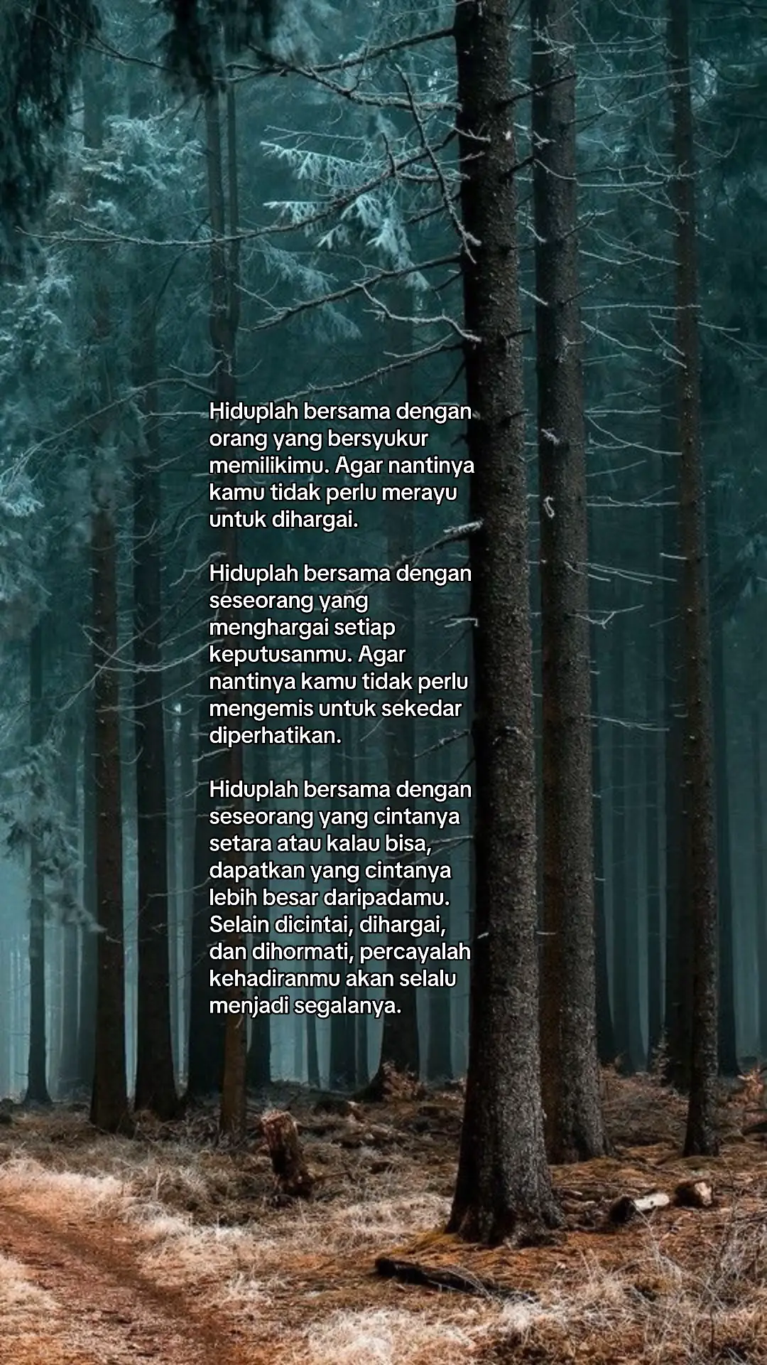 #foryoupage #fyp #foryou #fypシ゚ 