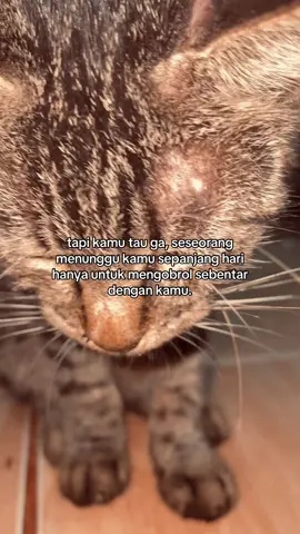 excited sendiri #galaubrutal #fypシ #4u #viral #katakata 