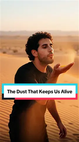 the secret immigration of dust that keeps us alive  send this to someone who could learn something new today.  That's 1 minute, see you tomorrow for Day 98! @AI School for Entrepreneurs 