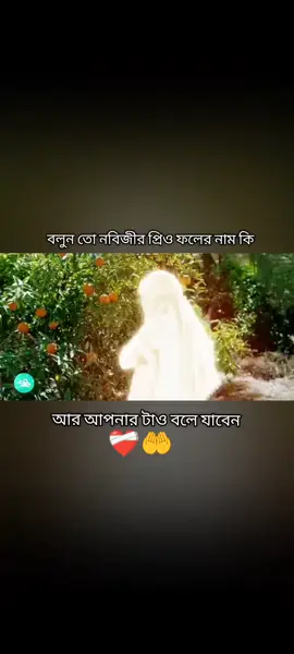 #কমেন্টে_বলে_যান #viraltiktok #fypシ #mohamadlover #হযরত_মোহাম্মদ_সাঃ_এর_জীবনকাহিনী🥰🥰 
