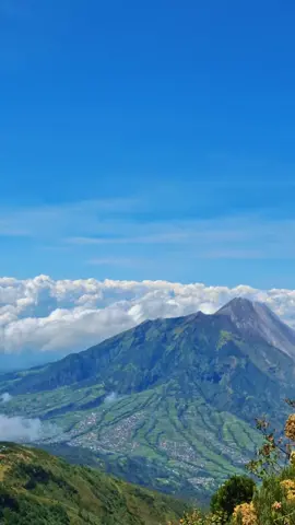 next cobain merbabu via mana lagi yaa? #merbabumountain #merapi #edelweiss #merbabuviaselo 