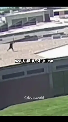 read the COMMENTS! I've done a deep analysis of the official rooftop CCTV and came across some alarming things. I will continue to keep investigating the Charlie Kirk USA incident as public demands answers. #charliekirk #usa 