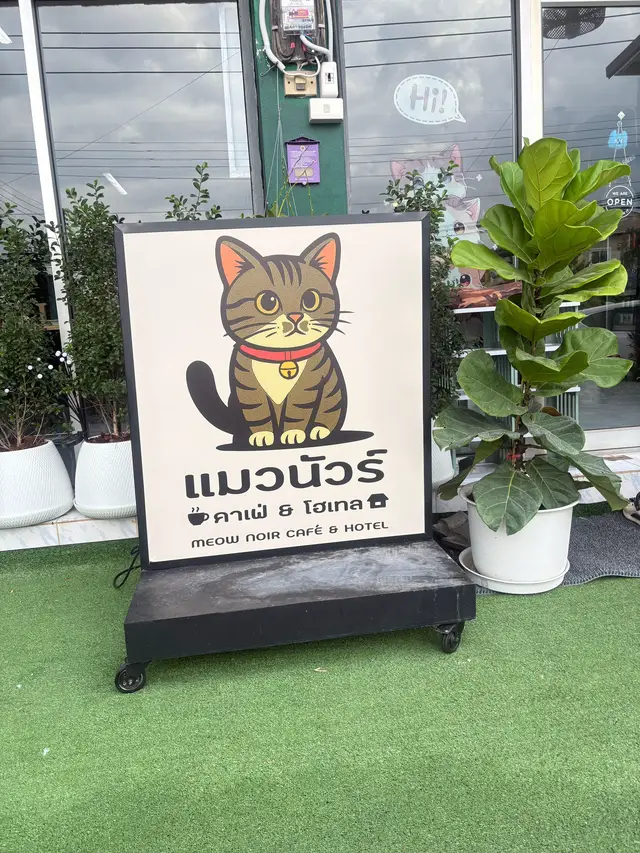 #คาเฟ่แมว #โคราชบ้านเอ็ง  