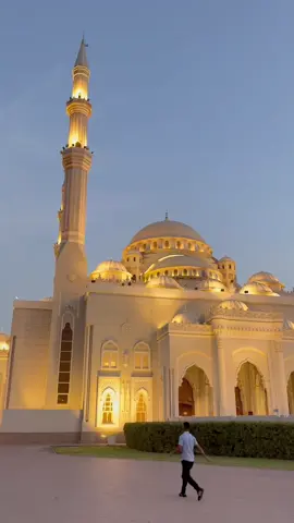أَفَلَمْ يَهْدِ لَهُمْ كَمْ أَهْلَكْنَا قَبْلَهُمْ مِنَ الْقُرُونِ يَمْشُونَ فِي مَسَاكِنِهِمْ 