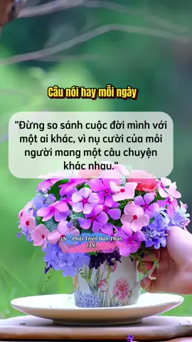 Đừng so sánh cuộc đời mình với một ai khác.. #LearnOnTikTok #phattrienbanthan #dongluc #chualanh #3N_PhatTrienBanThan @3N Rì Viu 