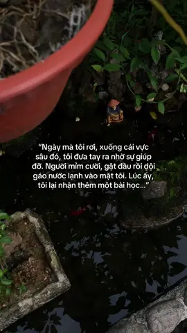 …#tamtrang #story 