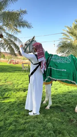 ماشاءالله 💚💚#الخيال_محمد #سدير #حاكم #منتجع_مكن 